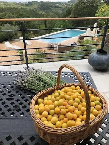 Idyllic French Farmhouse Les Assions فرنسا